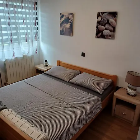 Zana مالينسكا